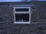 New Window in Extension